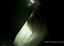 Underwater Pregnancy Photo 4