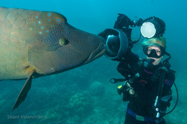 Cairns Best underwater photographers - Calypso Reef Imagery